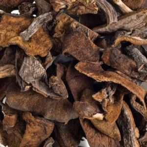 100 Grs - Hongos Secos De Pino